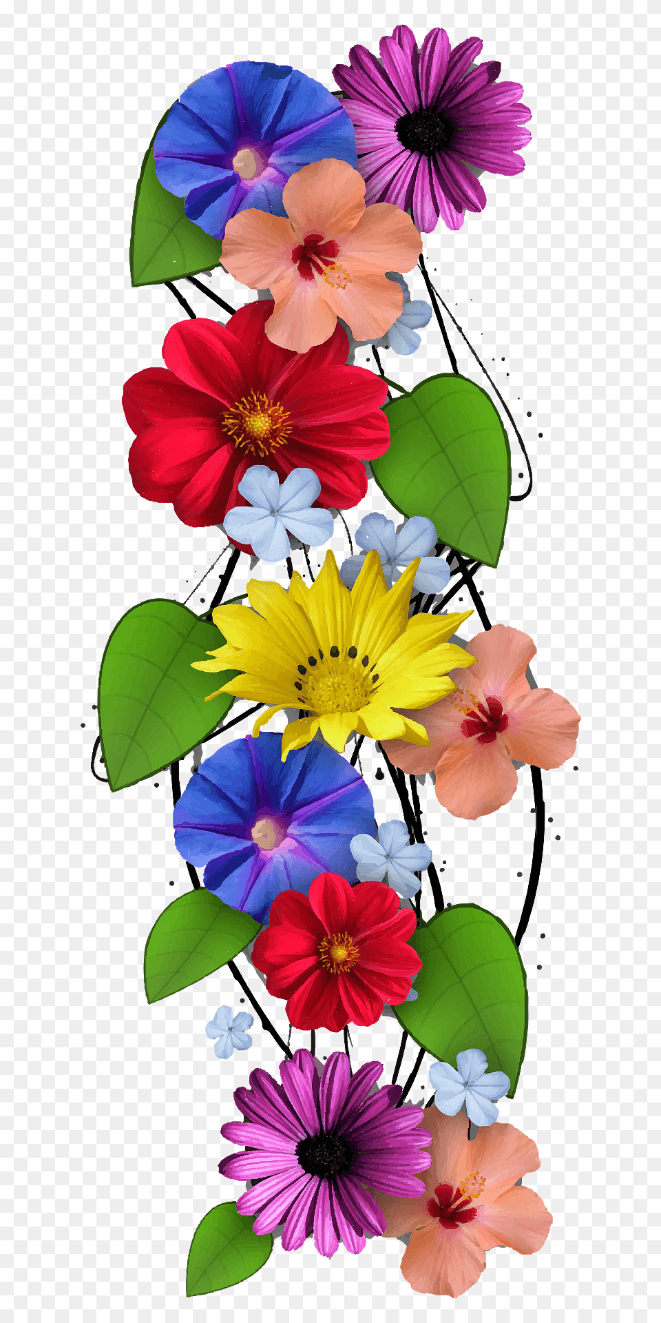 Vertical Flowers Clipart, Plant, Geranium, Daisy, Flower Png Image
