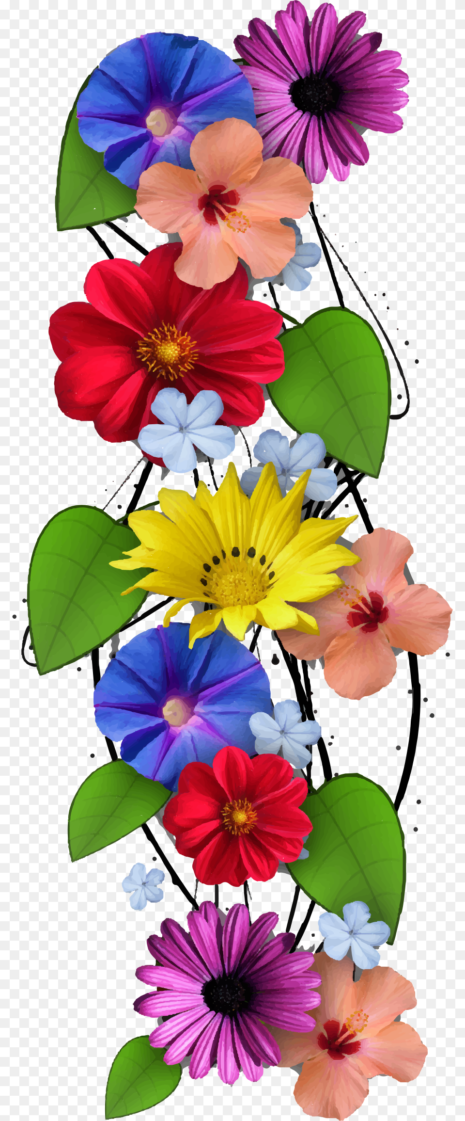 Vertical Flowers Fixed Clip Arts Vertical Flowers, Anemone, Daisy, Flower, Geranium Free Transparent Png