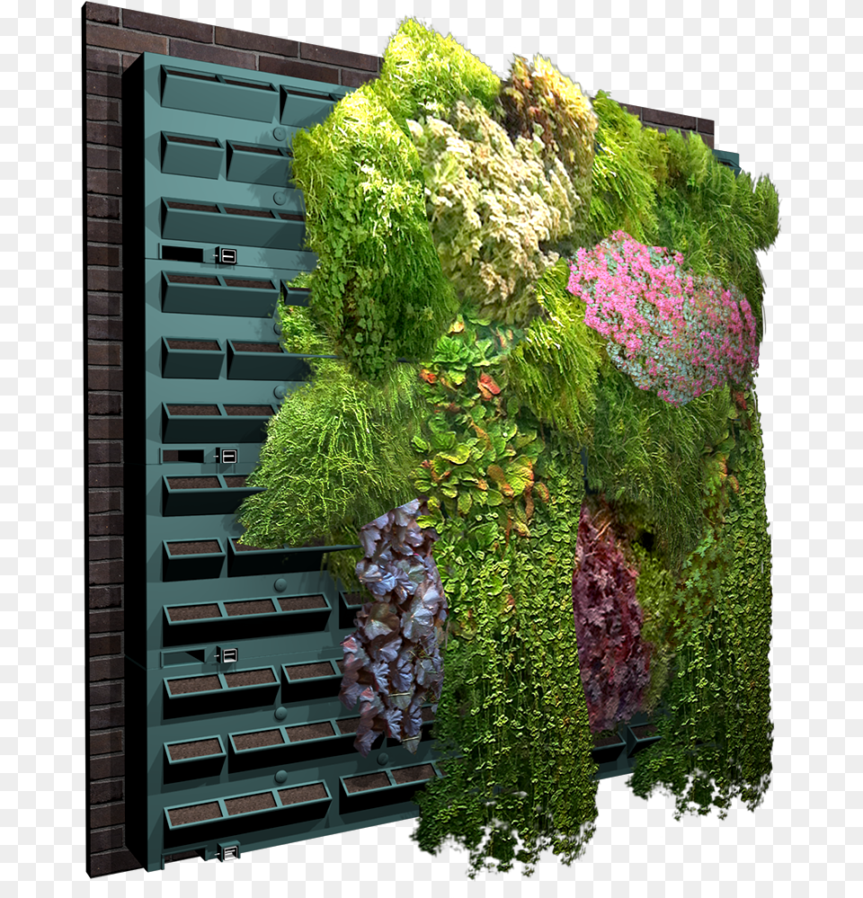 Vertical Garden Archicad, Flower, Flower Arrangement, Flower Bouquet, Plant Png
