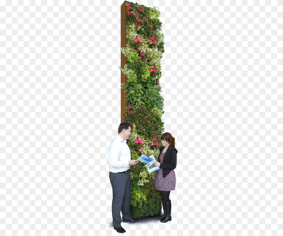 Vertical Garden Green Wall, Adult, Reading, Person, Outdoors Png Image