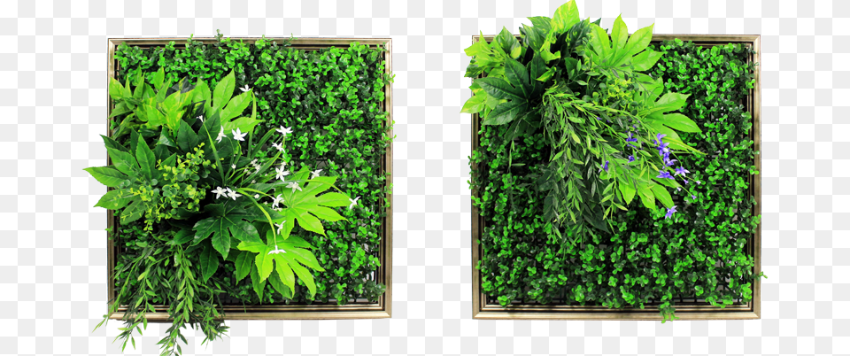 Vertical Garden Vertical Garden Plants, Potted Plant, Planter, Plant, Pottery Free Transparent Png