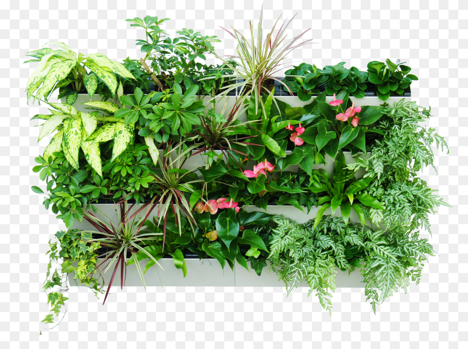 Vertical Herb Garden, Jar, Plant, Planter, Potted Plant Free Png