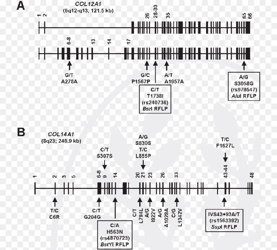 Vertical Lines, Chart, Plot, Dynamite, Weapon Free Transparent Png