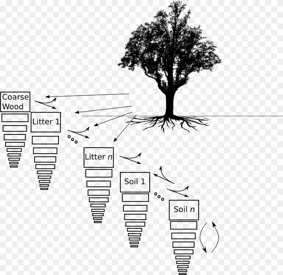 Vertsoil Soilstruct Drawing Illustration, Plant, Tree, Silhouette, Art Free Png