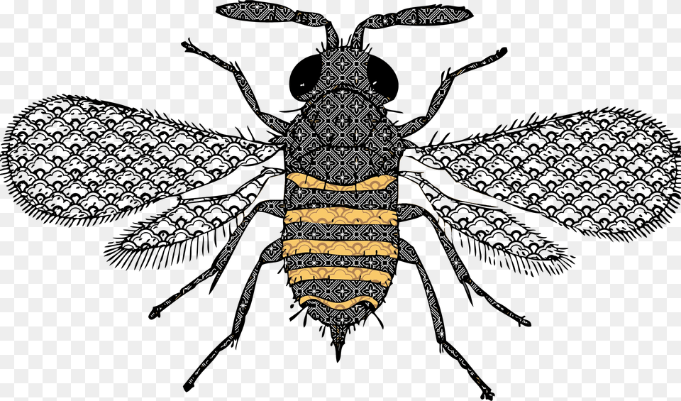 Very Detailed Bee Clip Arts Lumbar Bee Pillow, Animal, Insect, Invertebrate, Wasp Free Transparent Png