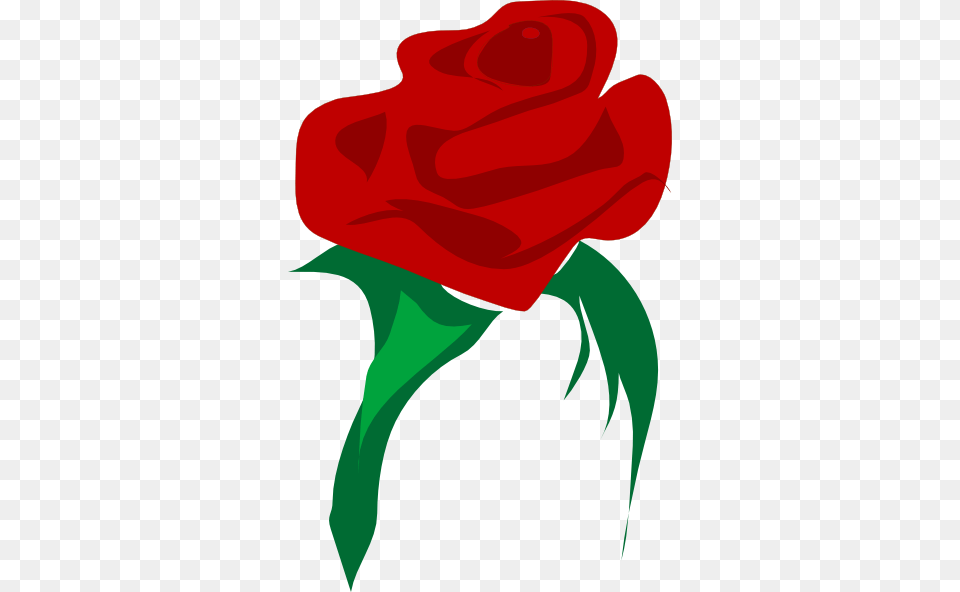 Very Popular Images Rosa Mundi, Flower, Plant, Rose, Dynamite Free Transparent Png