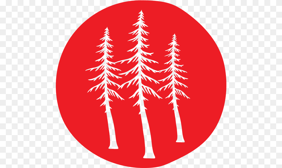 Very Tall Trees Illustration, Plant, Tree, Sticker, Conifer Free Png