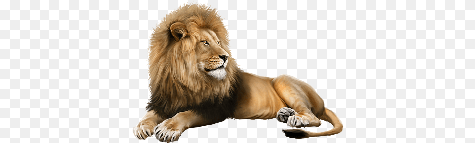 Verymanytubes Lion Mural Animals Lion Clipart, Animal, Mammal, Wildlife Free Png Download