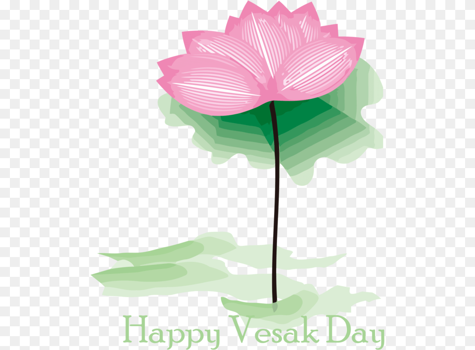 Vesak Flower Plant Leaf For Buddha Day 3222x3803 Lotus Vesak, Lily, Pond Lily, Animal, Sea Life Free Png