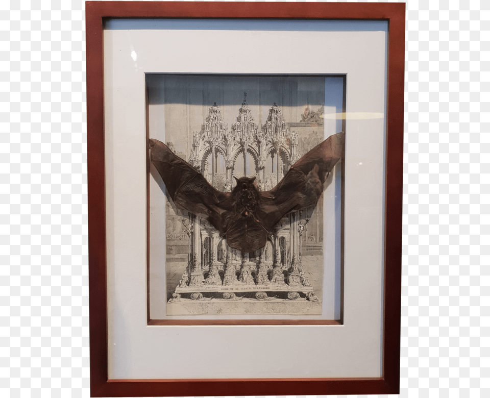 Vesper Bat With Victorian Lithograph In Large Frame Picture Frame, Art, Painting, Animal, Bird Png