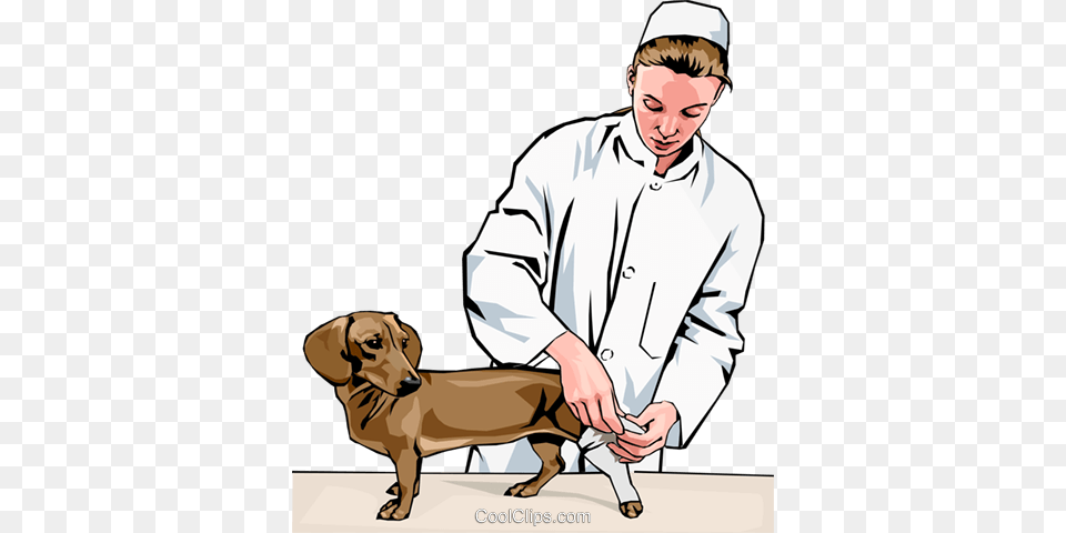 Vet Bandaging Dogs Leg Royalty Vector Clip Art Illustration, Person, Clothing, Coat, Doctor Free Transparent Png