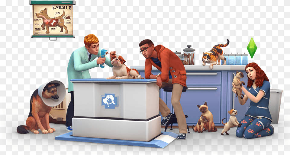 Vet Render Sims Four Wicked Whims Animations, Woman, Adult, Person, Female Free Transparent Png