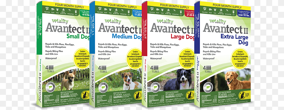 Vetality Advantect Ii Tevra Brands Llc Vetality Advantect Ii For Dogs 4, Advertisement, Poster, Animal, Canine Free Png Download