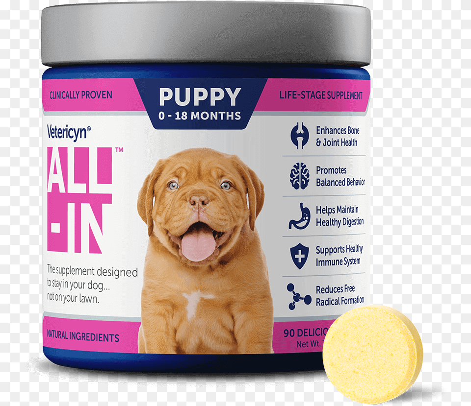 Vetericyn All In Vetericyn Animal Wellness Pet Care Products, Canine, Dog, Mammal, Puppy Free Transparent Png