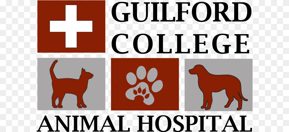 Veterinarian Colleges, Logo, Animal, Canine, Dog Free Png