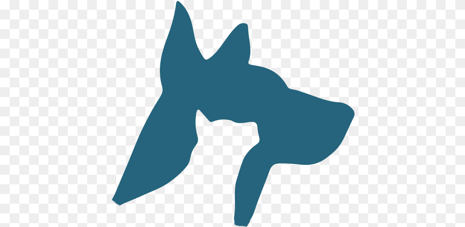 Veterinarian In Boynton Beach Fl Animal Hospital Shark, Silhouette, Person, Sea Life, Fish Png Image