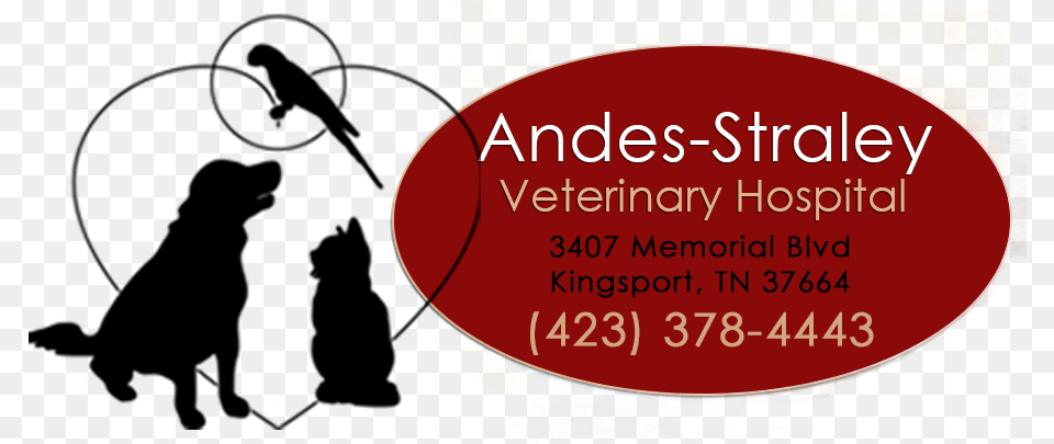 Veterinarian In Kingsport Tnsrc Https Silhouette, Animal, Bear, Mammal, Wildlife Free Transparent Png