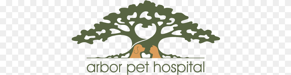 Veterinarian In Wilton Manors Fl Animal Hospital Fort Arbor Pet Hospital, Plant, Tree, Vegetation, Potted Plant Png