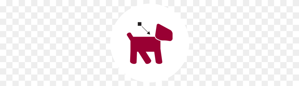 Veterinarian Ottawa And Chapel Hill Veterinary Clinic, Logo, Disk Free Transparent Png