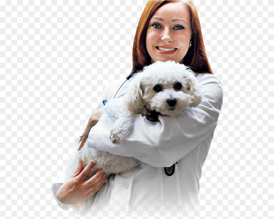 Veterinarian With A Canine Patient Doctor With A Dog, Person, Body Part, Hand, Finger Free Png Download