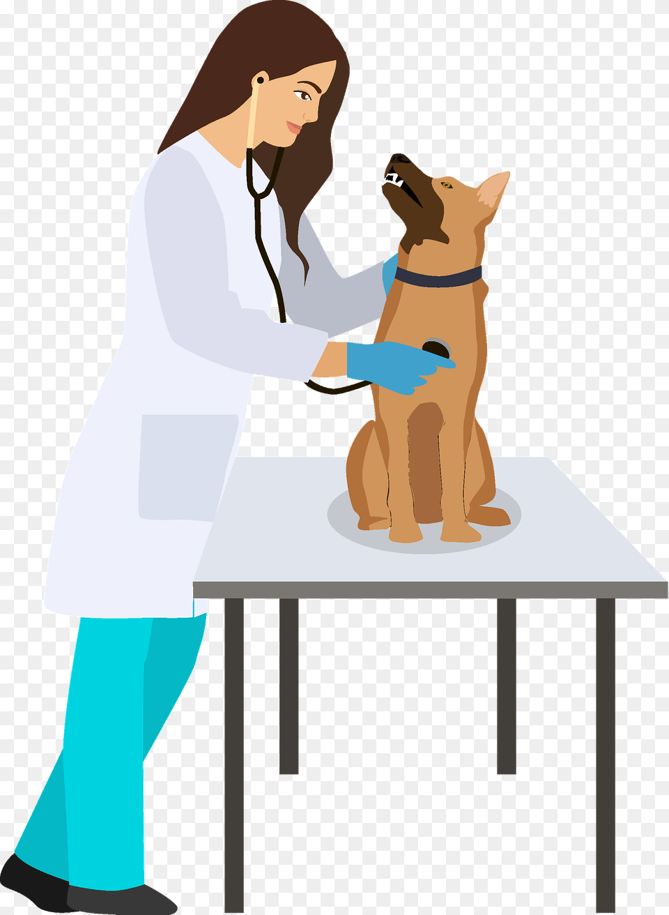 Veterinary Clipart, Person, Doctor, Adult, Veterinarian Free Png
