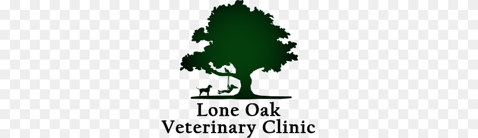 Veterinary Coupons And Specials Visalia Vet Animal Hospital Visalia, Green, Oak, Plant, Potted Plant Free Transparent Png