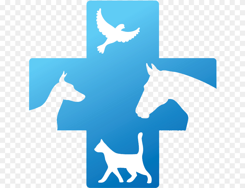 Veterinary Doctor Logo Transparent Cartoons Veterinary Doctor Logo, Silhouette, Animal, Bird, Horse Free Png