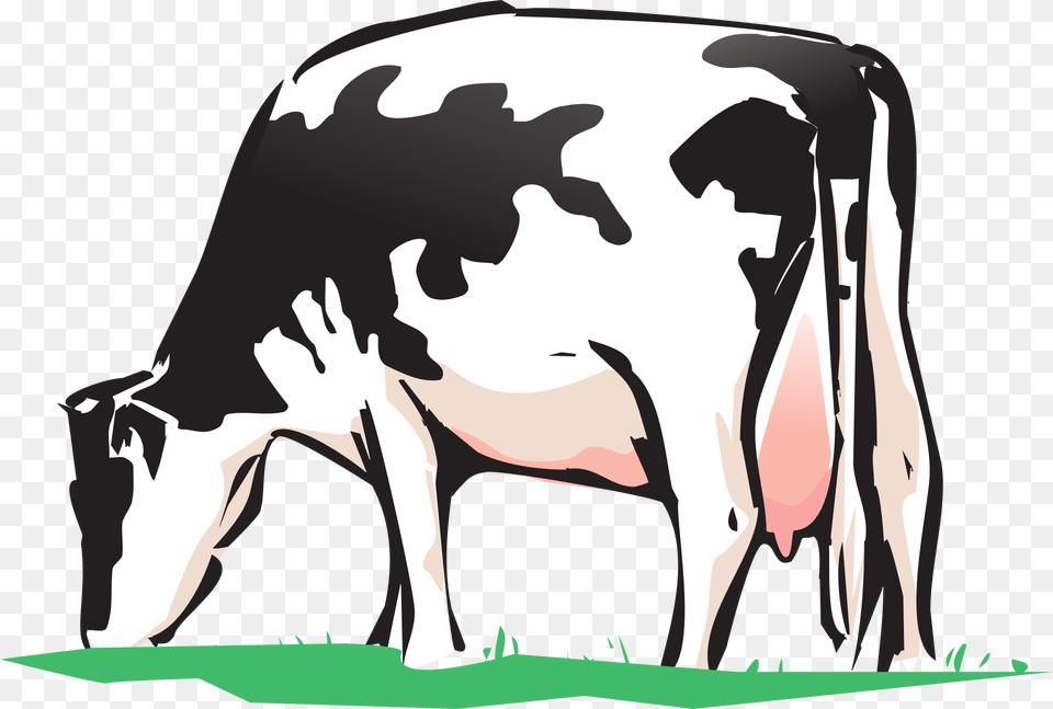 Veterinary Medicine For Cow Cow Grazing Clipart, Animal, Cattle, Dairy Cow, Livestock Free Transparent Png