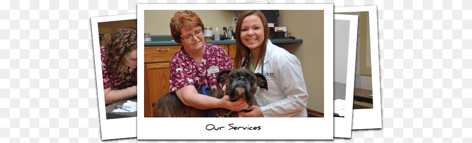Veterinary Services Streator Illinois Illinois, Adult, Person, Female, Doctor Free Transparent Png