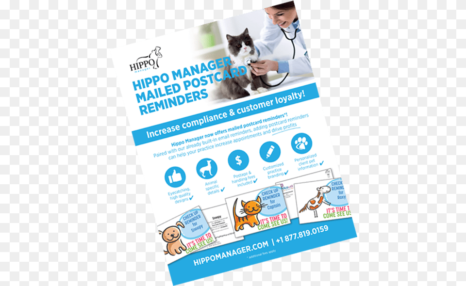 Veterinary Software Reminder Postcards Flyer, Advertisement, Poster, Adult, Person Png