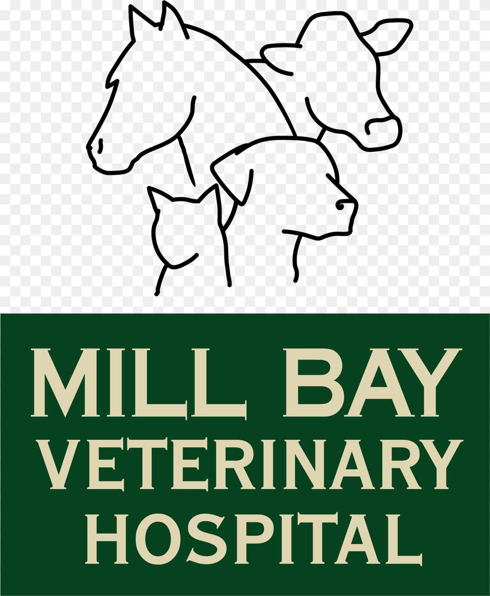 Veterinary Technician Cartoon, Book, Publication, Text Free Png