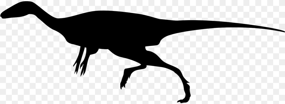 Veterupristisaurus Skeletal, Gray Free Png Download