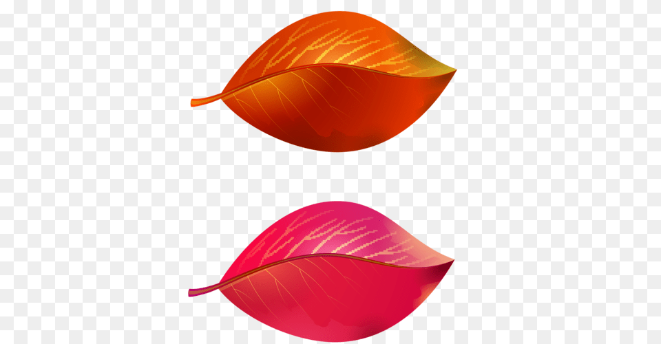 Vetki Listia Clip Art Fall Autumn Clip Art And Fall, Flower, Leaf, Petal, Plant Free Png Download