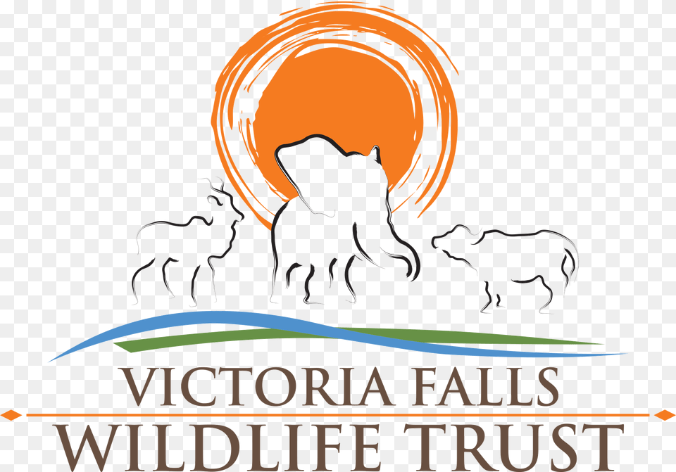 Vfwtrust Logo V3 Victoria Family Chiropractic, Face, Head, Person, Animal Png Image