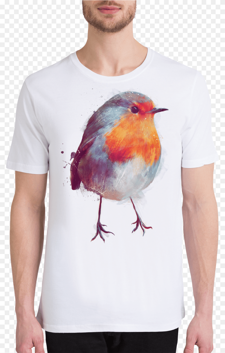 Vgel Kinder Alu Dibond Bilder Winter Robin Von Juniqe, Clothing, T-shirt, Animal, Bird Png Image