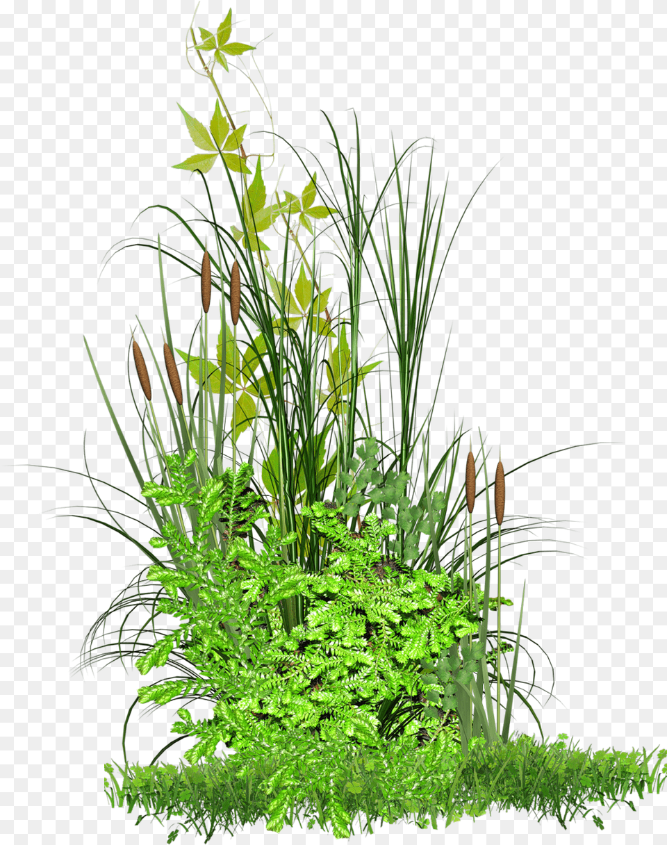 Vgtation Editing Images Hd, Flower, Flower Arrangement, Grass, Green Free Transparent Png