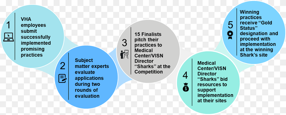 Vha Innovation Ecosystem Circle, Diagram, Nature, Night, Outdoors Png Image