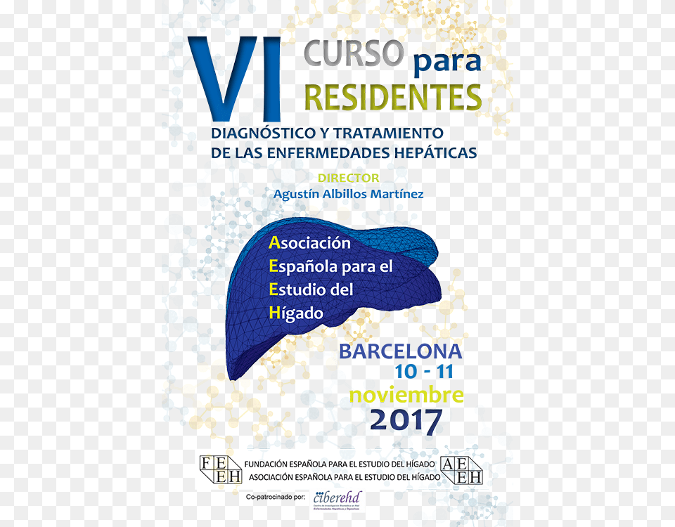 Vi Curso Para Residentes Flyer, Advertisement, Chart, Plot, Poster Free Transparent Png