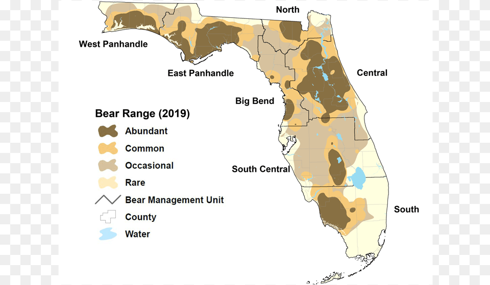 Via Florida Fish And Wildlife Conservation Commission Florida Bear Map 2019 Bear, Chart, Plot, Atlas, Diagram Free Png