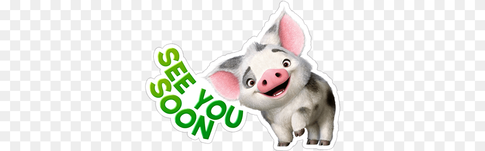 Viber Sticker Moana Disney Moana Essential Guide Dk Disney, Animal, Mammal, Pig Png Image