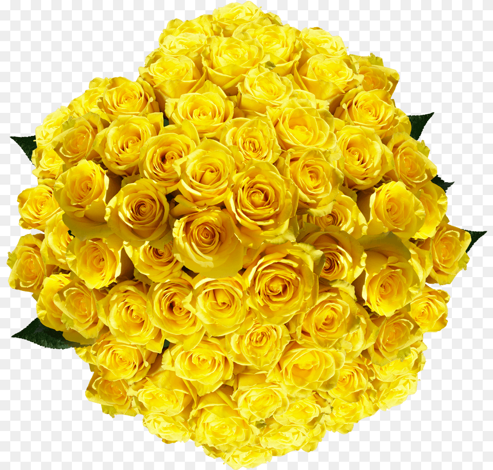 Vibrant Pure Yellow Roses Floribunda, Flower, Flower Arrangement, Flower Bouquet, Plant Png