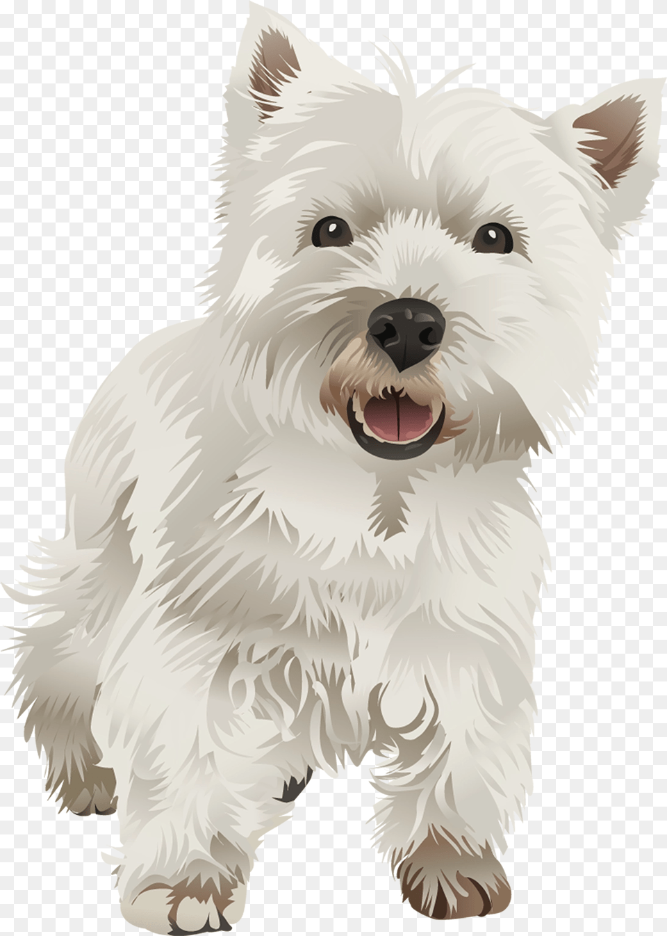 Vibrant Vector West Highland Terriers, Animal, Pet, Mammal, Dog Free Png Download