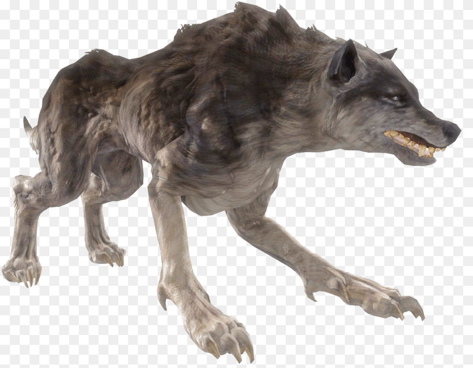 Vicious Wolf Giant Mutated Wolf, Animal, Mammal, Canine, Dog Free Png