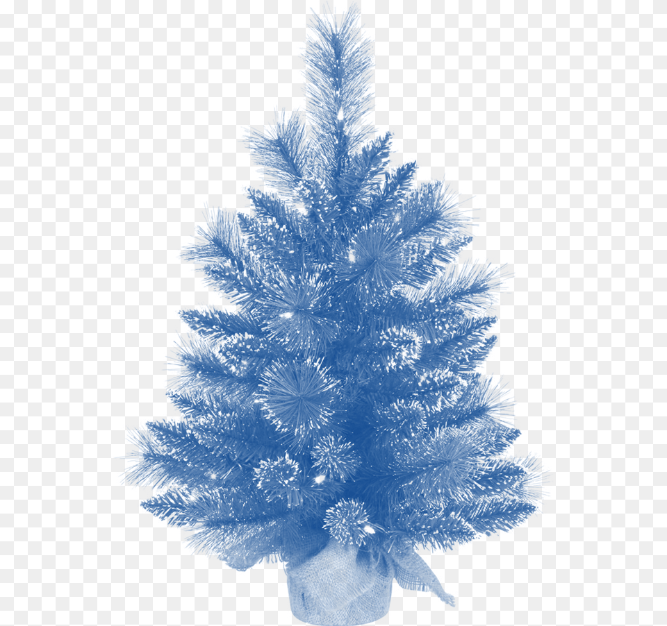 Vickerman, Plant, Tree, Ice, Nature Free Transparent Png