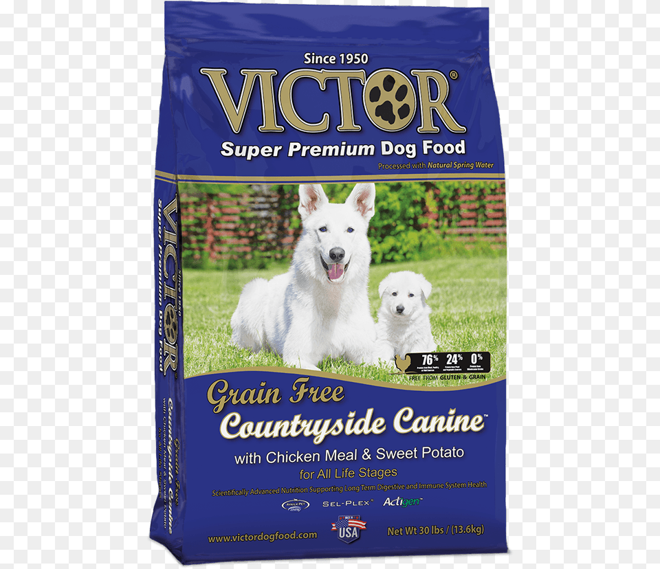 Victor Grain Dog Food Lamb, Animal, Canine, Mammal, Pet Png