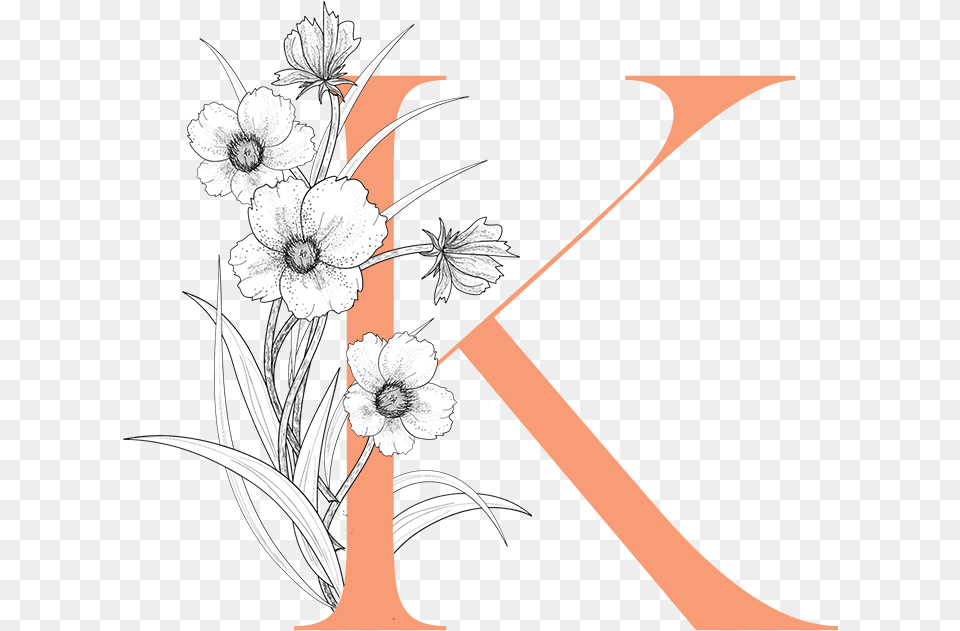 Victoria King Victoria King Drawing, Art, Floral Design, Graphics, Pattern Png Image