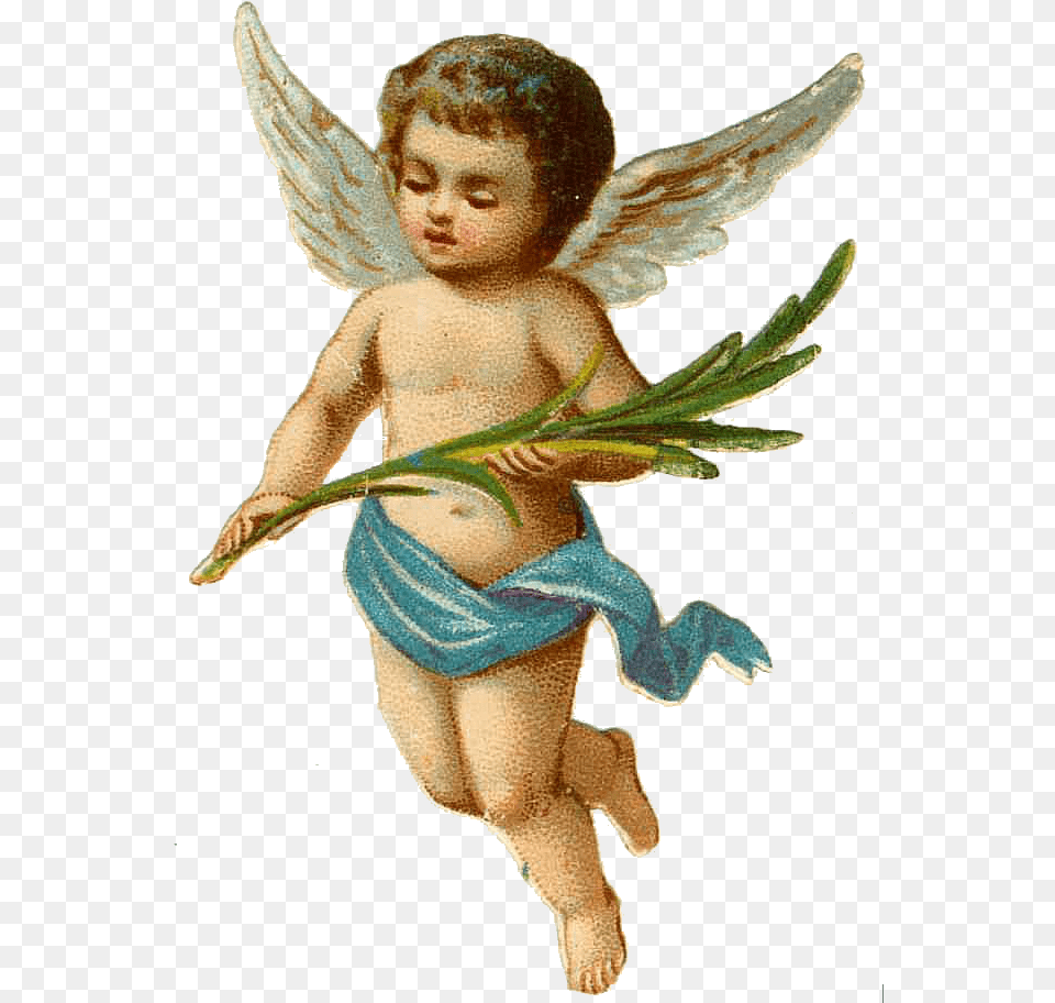Victorian Angels Clip Art, Angel, Baby, Person, Face Png Image