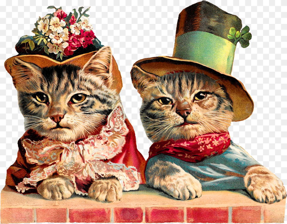 Victorian Cats Image Vivtorian, Plant, Hat, Flower Bouquet, Flower Arrangement Free Png Download
