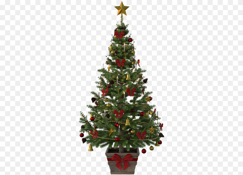 Victorian Christmas Tree Illustration, Plant, Christmas Decorations, Festival, Christmas Tree Free Png Download