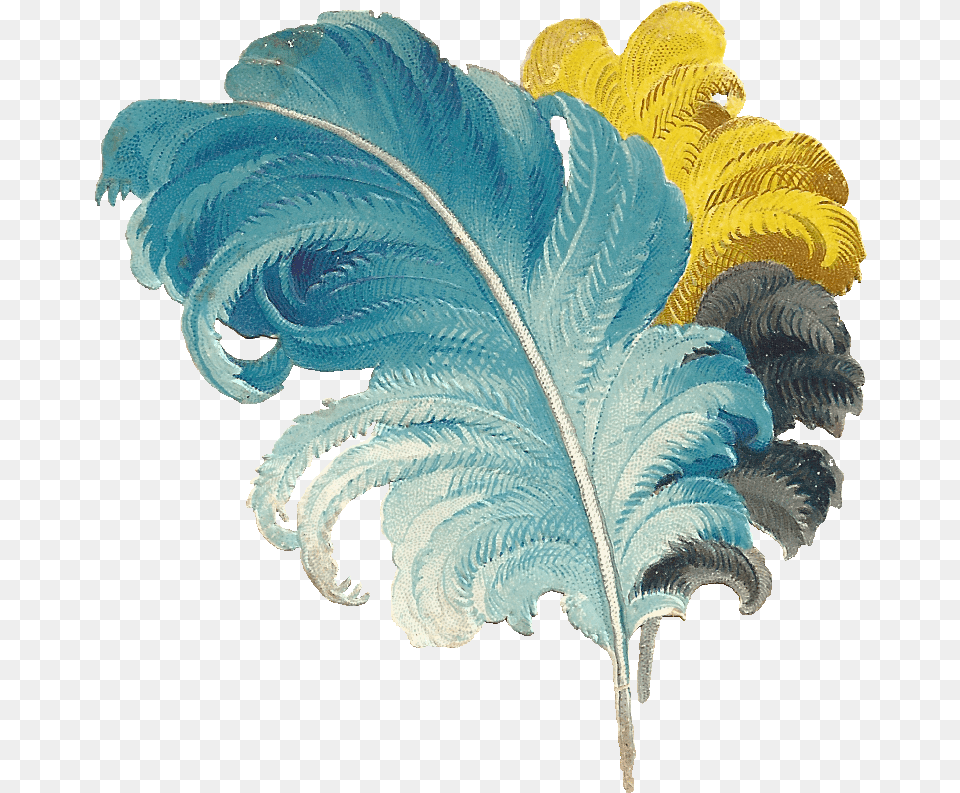 Victorian Feather, Accessories, Leaf, Plant, Jewelry Free Transparent Png